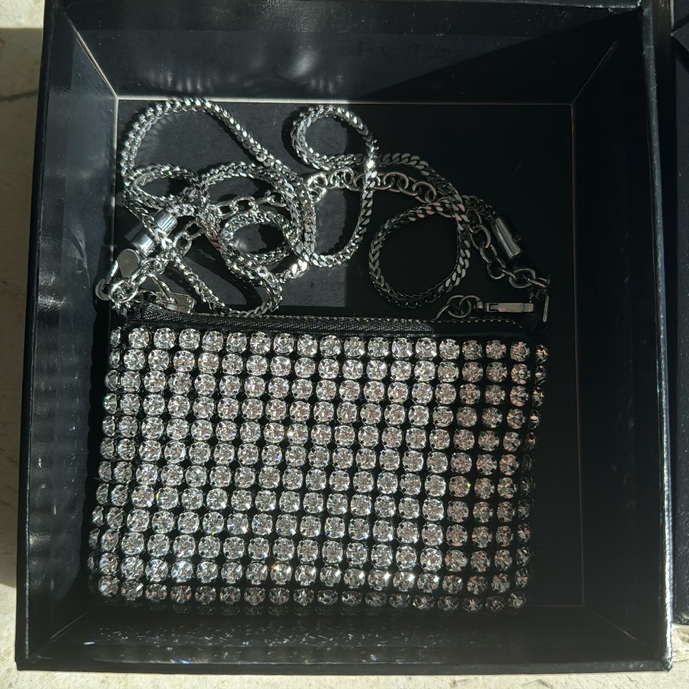 Alexander wang heiress nano pouch